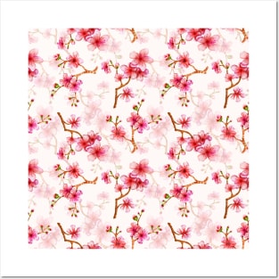 Apple Blossoms Branches Posters and Art